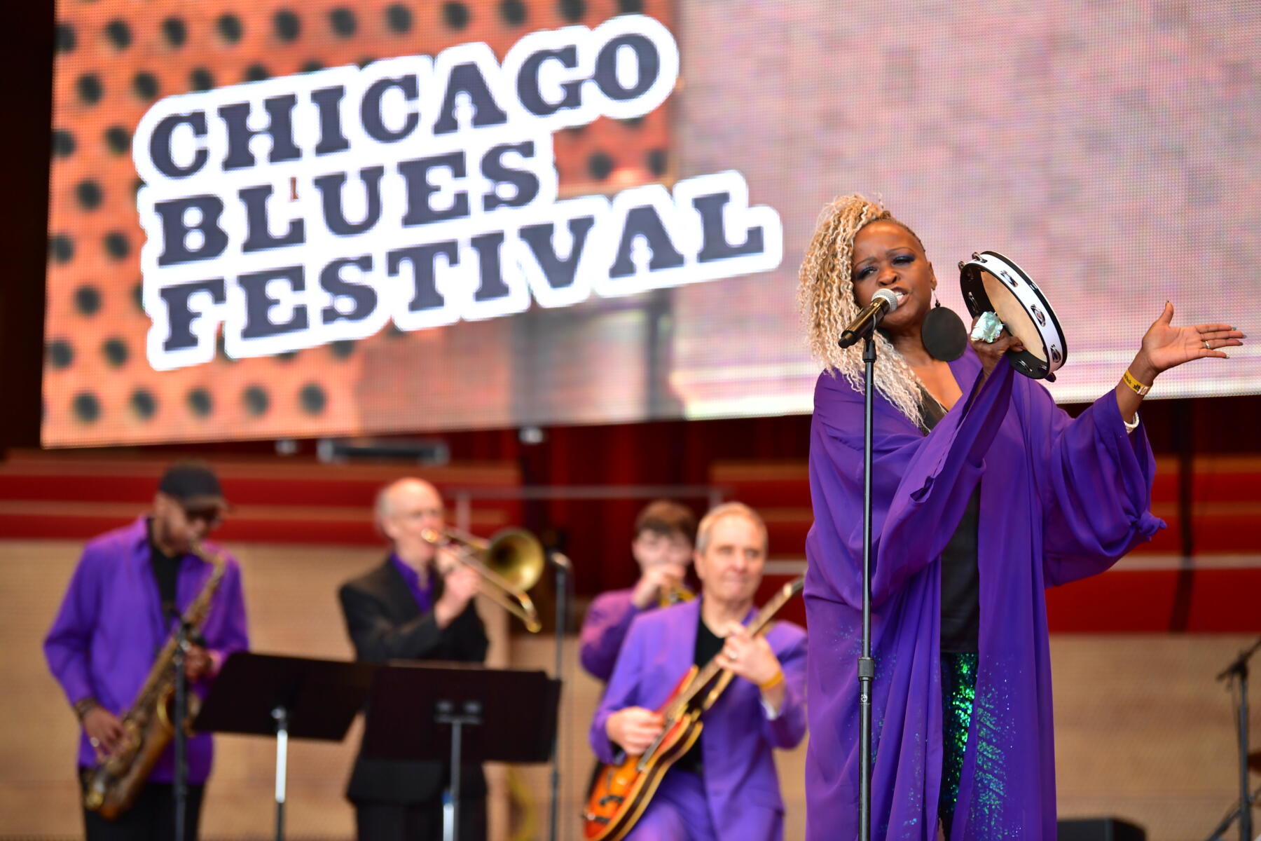 A performer at Chicago Blues Festival